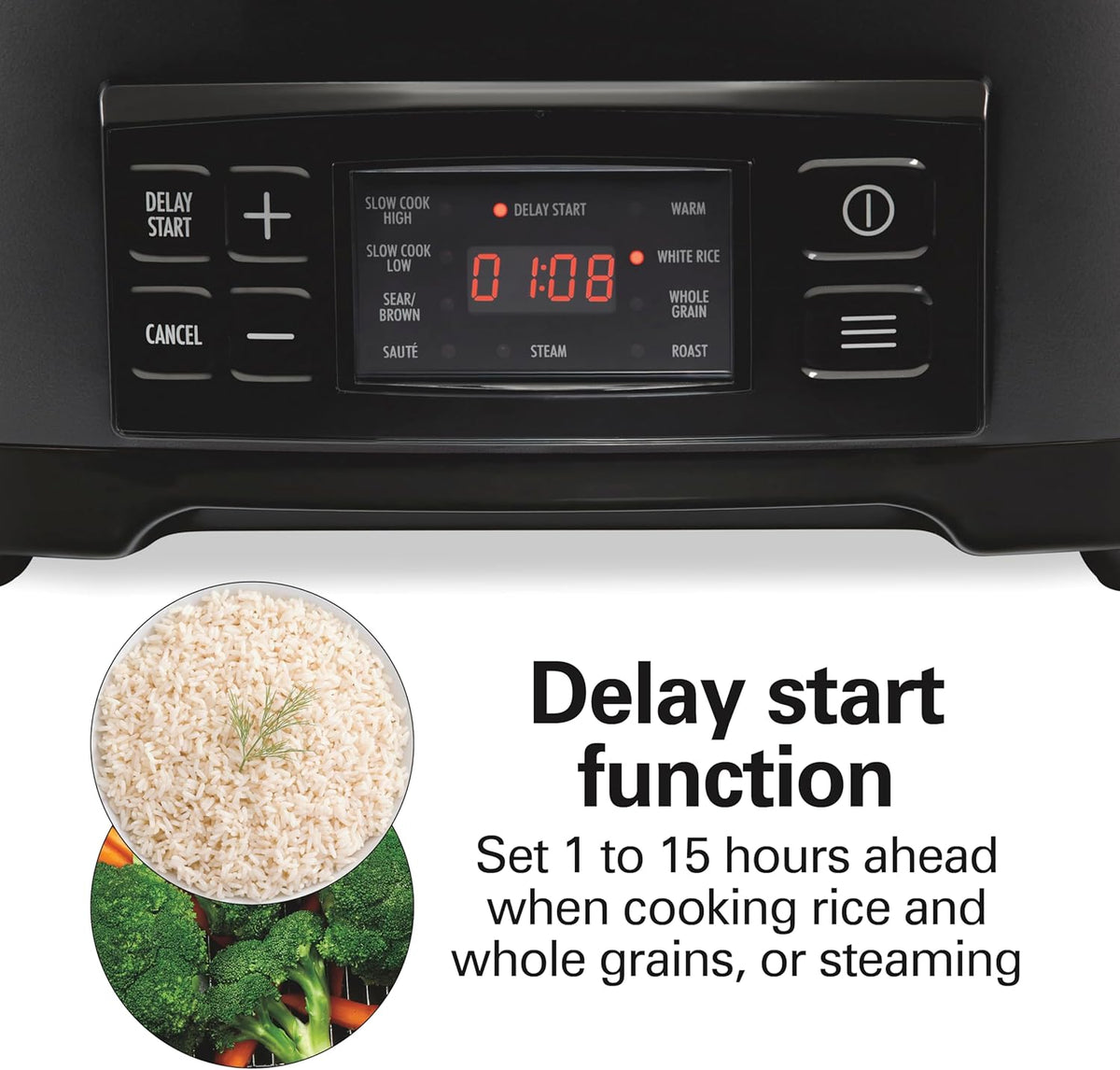 Hamilton Beach 9-in-1 6 Quart Programmable Slow Cooker